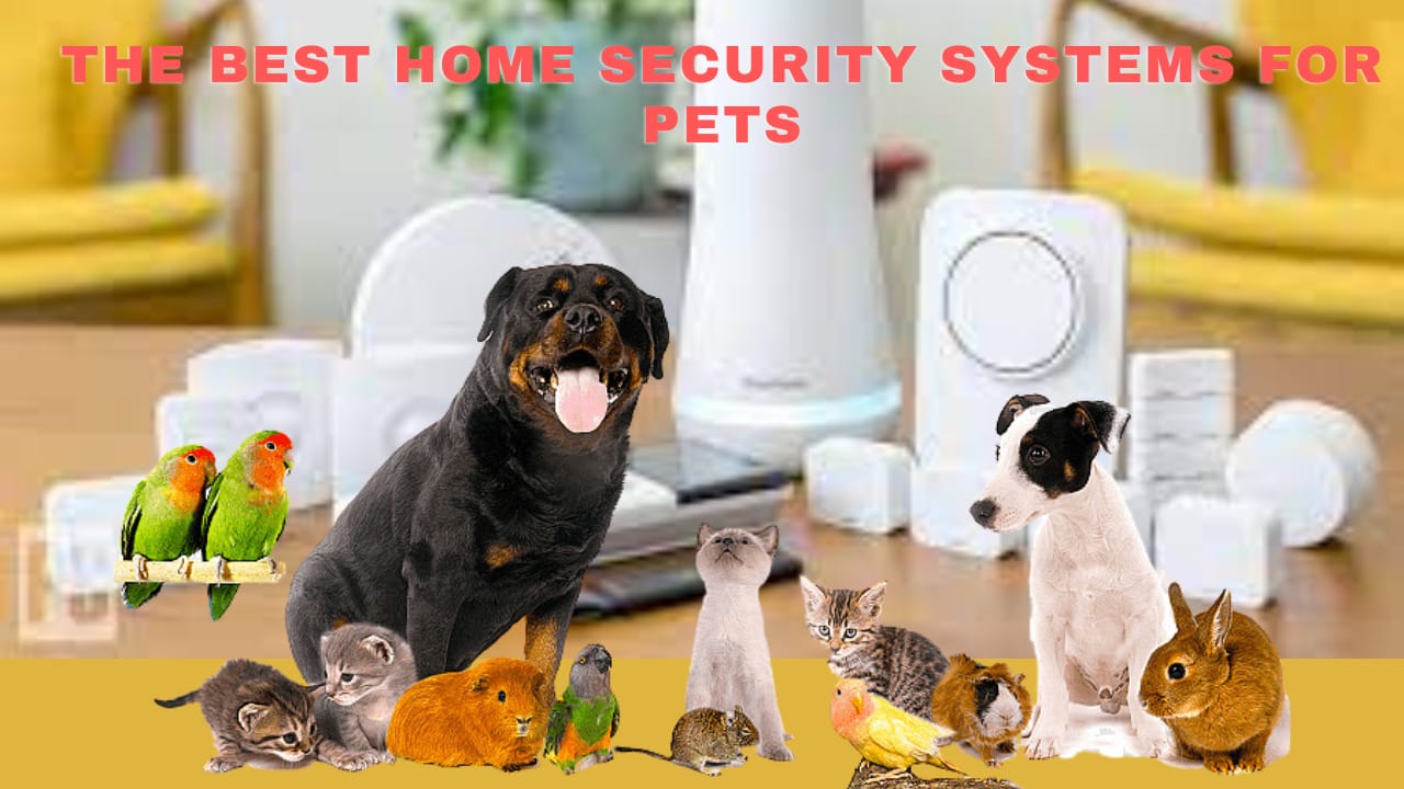 The best home security systems for pets The ultimate protection for your furry friend!